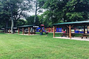 waynecountypark